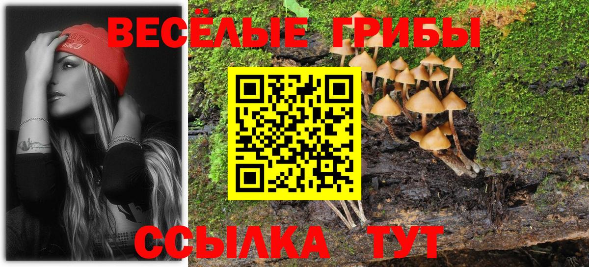 Псилоцибиновые грибы мухоморы  Галлюциногенные грибы Cubensis  Полевской  Вход с VPN 